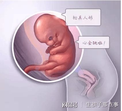 王建国